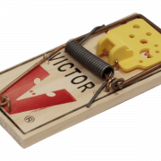 Wooden Mousetrap PNG Images