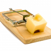 Wooden Mousetrap PNG Pic