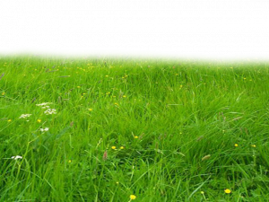 Grass Ground PNG Clipart