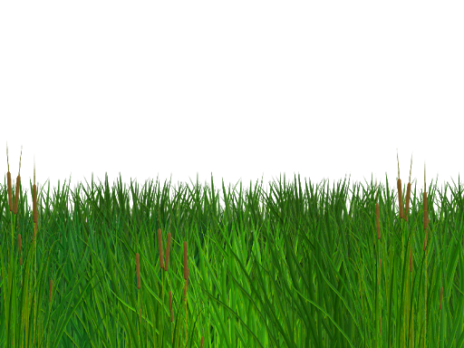Grass Ground PNG File Download Free