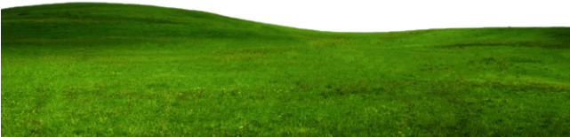 Grass Ground PNG File