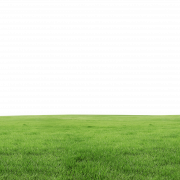 Grass Ground PNG Free Download