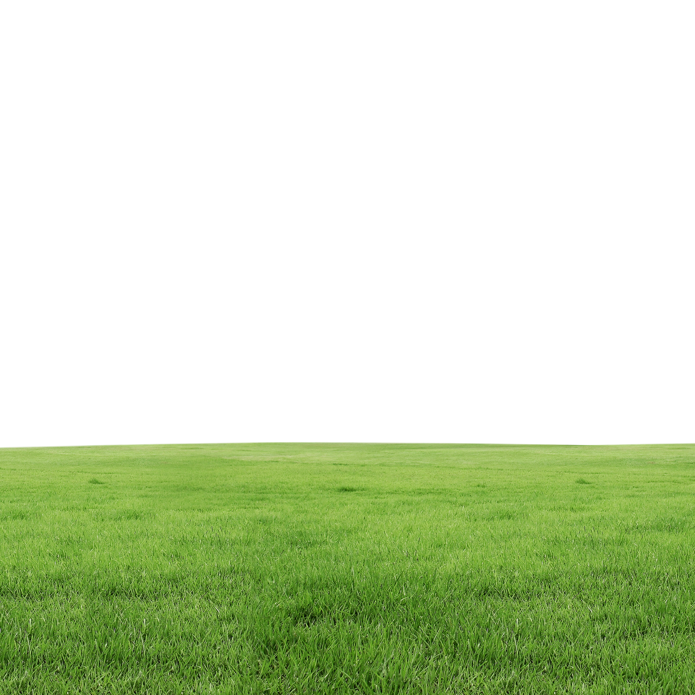 Grass Ground PNG Free Download