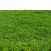 Grass Ground PNG Image