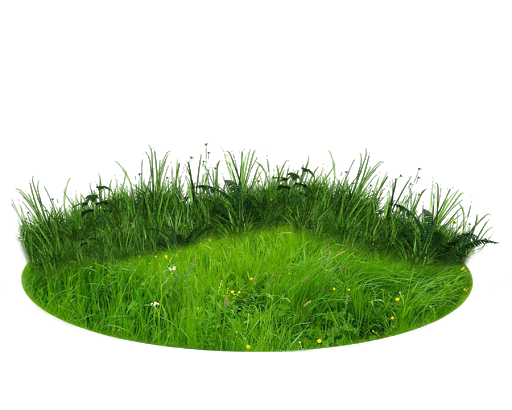 Grass Ground PNG Image File