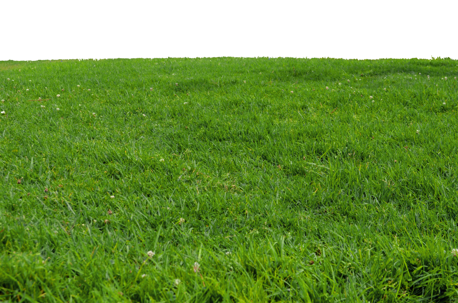 Grass Ground PNG Image