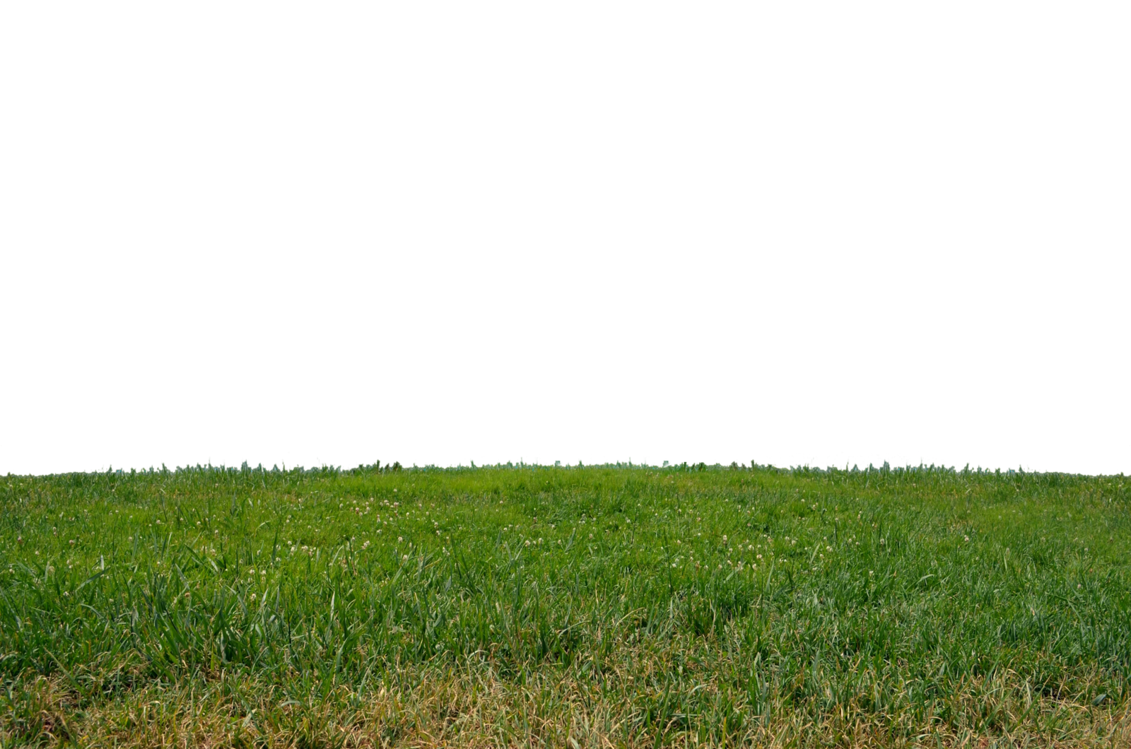 Grass Ground PNG Pic