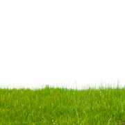 Grass Ground PNG Picture