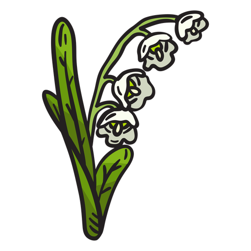 Lily of The Valley PNG Download Image