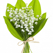 Lily of the Valley PNG gratis afbeelding