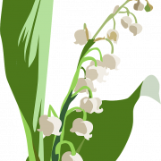 Lily of the Valley PNG -afbeeldingen