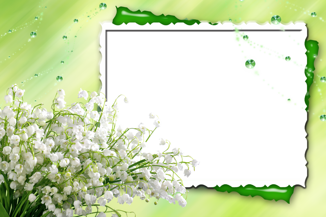 Lily of The Valley PNG Pic