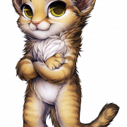Maine Coon Katze PNG