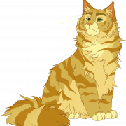 Maine Coon Cat PNG Image