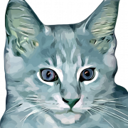 Maine Coon Cat PNG Image File