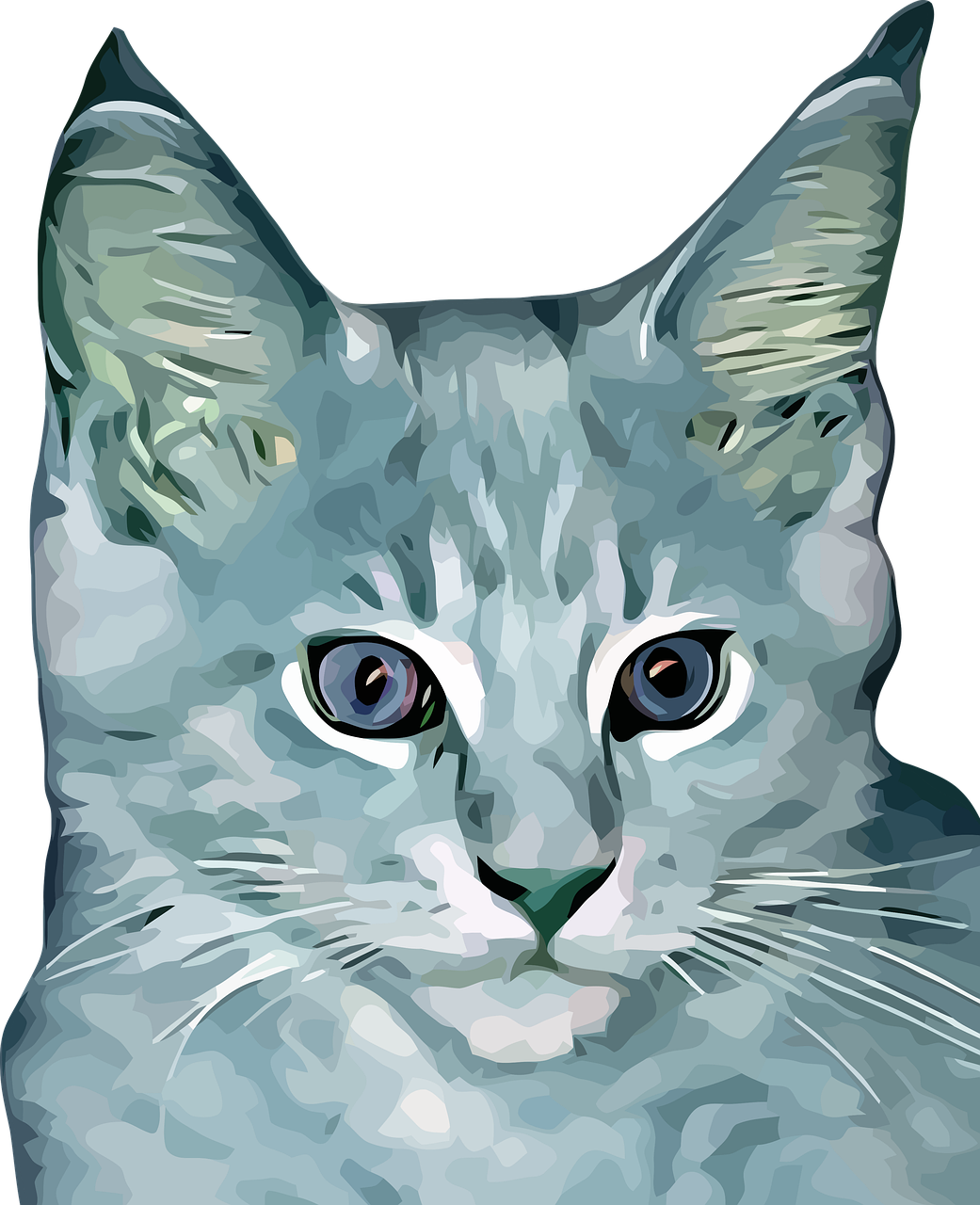 Maine Coon Cat PNG Image File