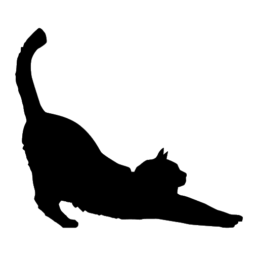 Maine Coon Cat Png Image HD