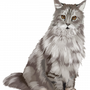 Maine Coon Cat Png foto