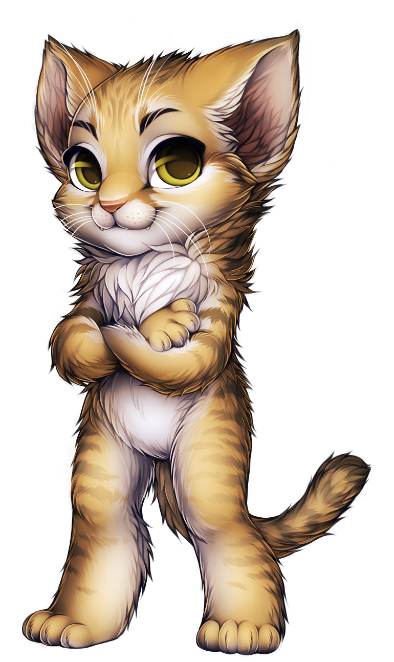 Maine Coon Cat PNG