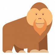 Orangutan PNG File