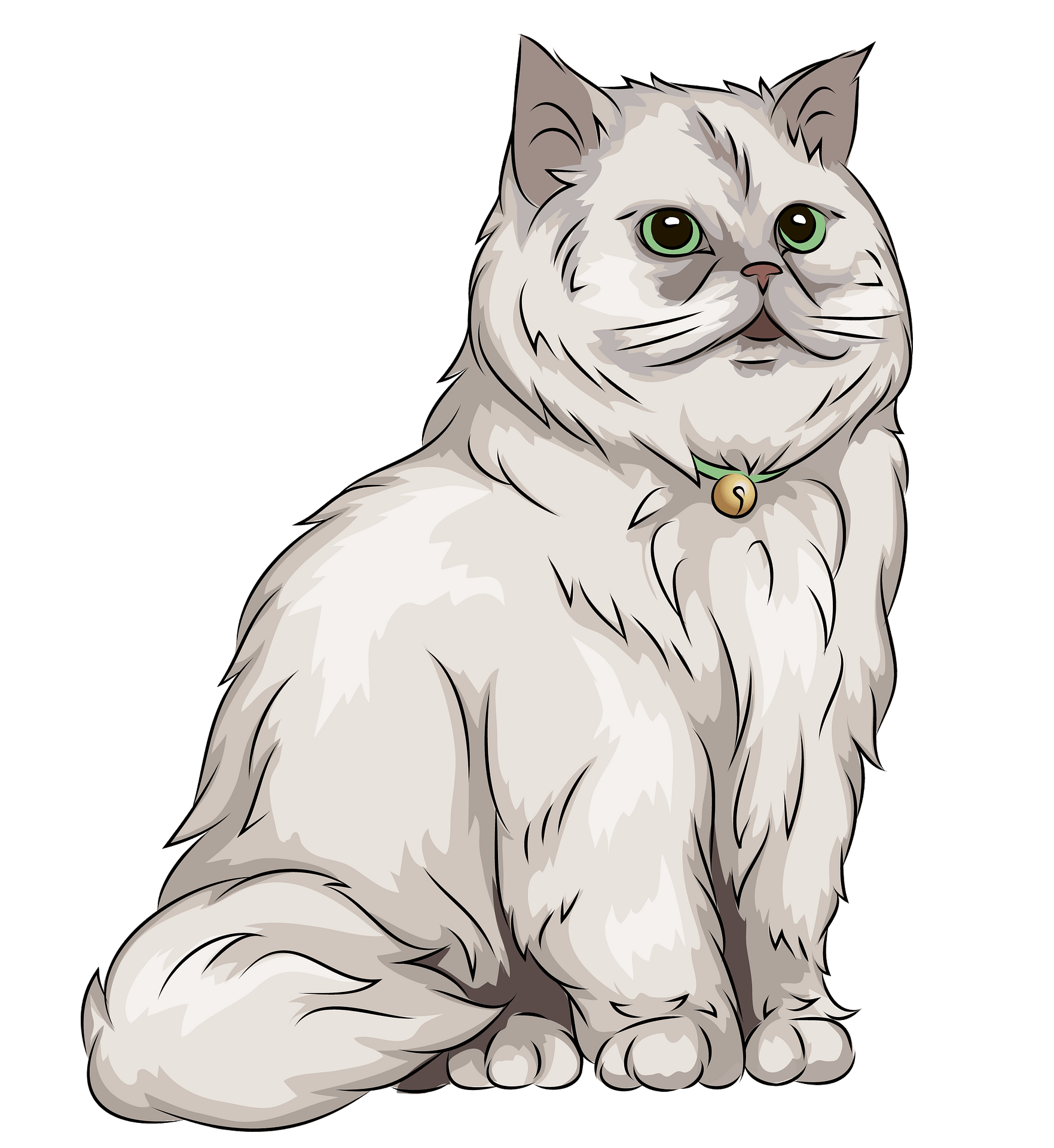 Persian Cat PNG Download Image