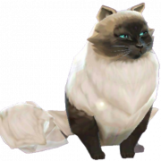 Персидская кошка PNG Высококачественное изображение