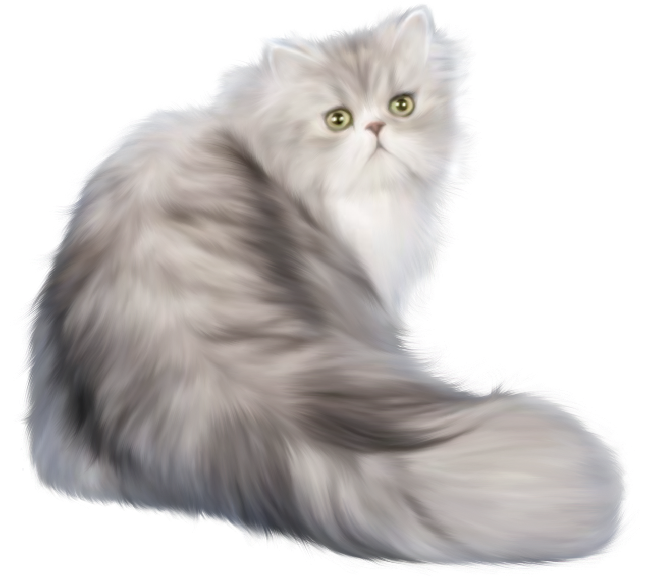 Persian Cat PNG