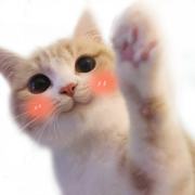 Ragdoll Cat PNG Clipart
