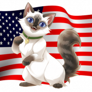 Ragdoll Cat Png бесплатное изображение