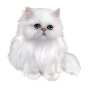 Ragdoll Cat PNG -файл изображения