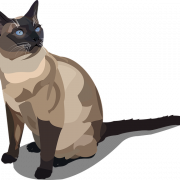 Siamese Cat PNG Download Image
