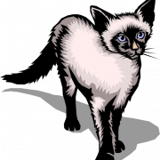 Сиамская кошачья png файл