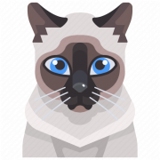 Siamese Cat PNG Free Download