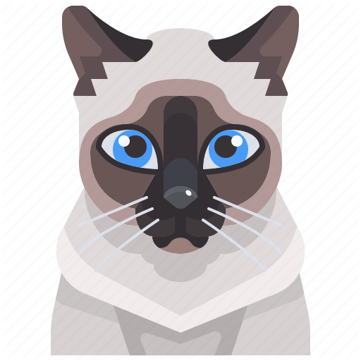Siamese Cat PNG Free Download