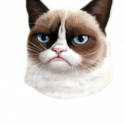 Siamese Cat Png gratis afbeelding