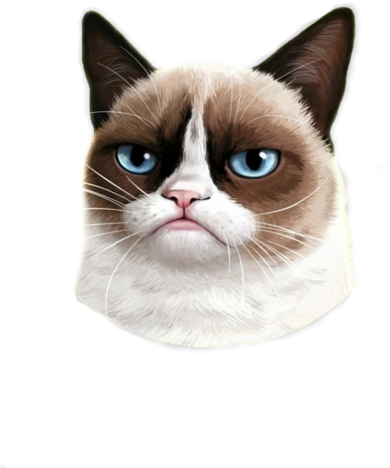 Siamese Cat PNG Free Image