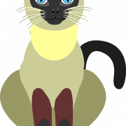 Siamese kat PNG Hoge kwaliteit afbeelding