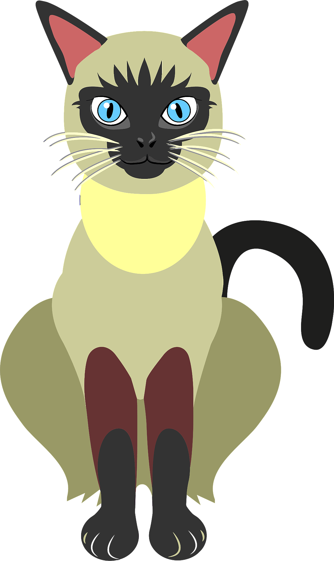 Siamese Cat PNG High Quality Image