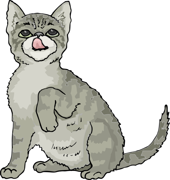 Siamese Cat PNG Image File