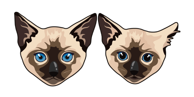 Siamese Cat PNG Image HD