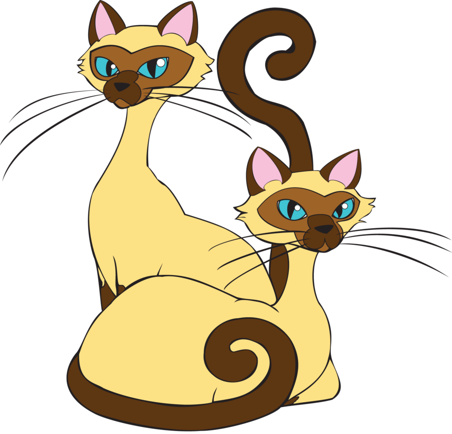 Siamese Cat PNG Image - PNG All