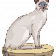 Сиамская кошка PNG изображения