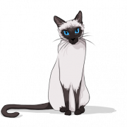 Сиамская кошка PNG картина
