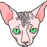 Sphynx cat png -bestand