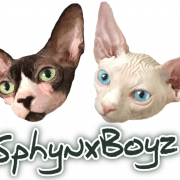 Sphynx kucing png gambar gratis