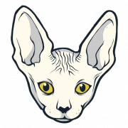 Sphynx CAT PNG de alta qualidade Imagem