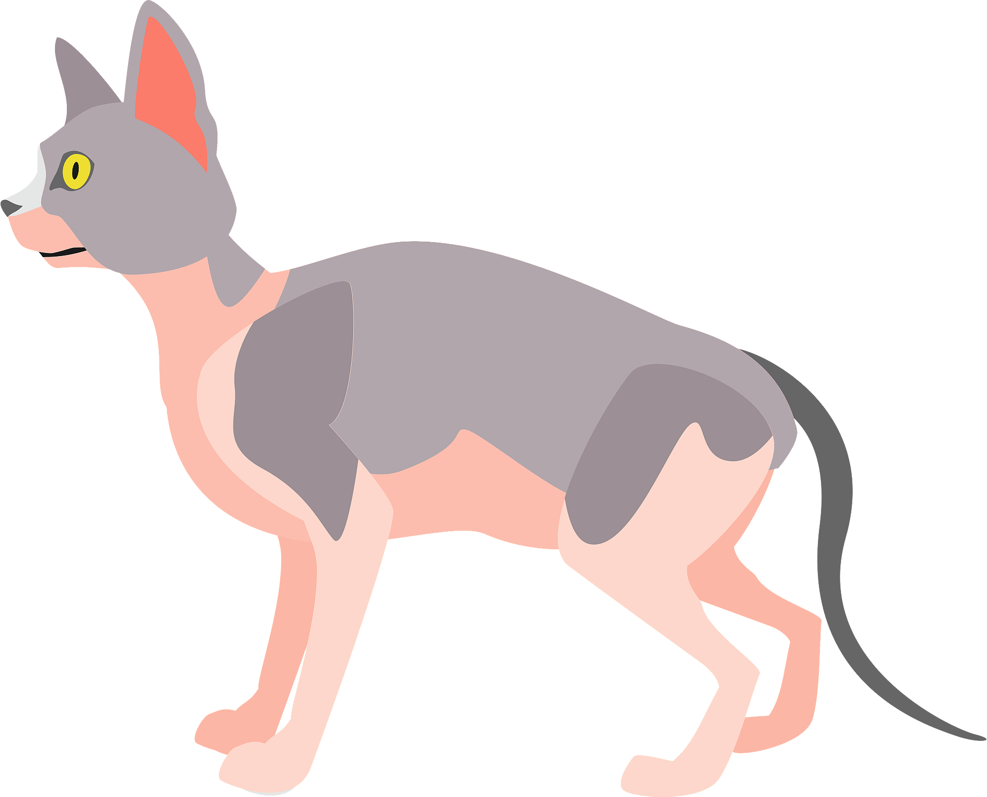 Sphynx Cat PNG Image File