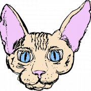 Sphynx cat png afbeelding hd