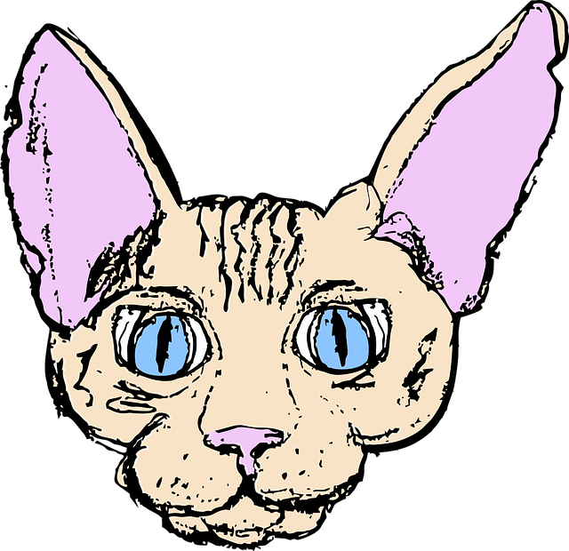 Sphynx Cat PNG Image HD