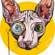 Sphynx Cat PNG Picture
